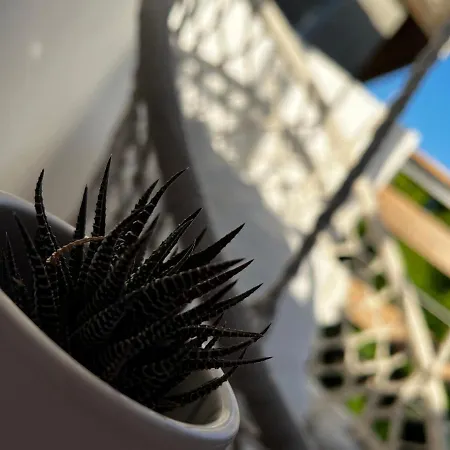 A&k Guest * וארנה